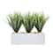 12" Vanilla Grass in White Rectangular Planter